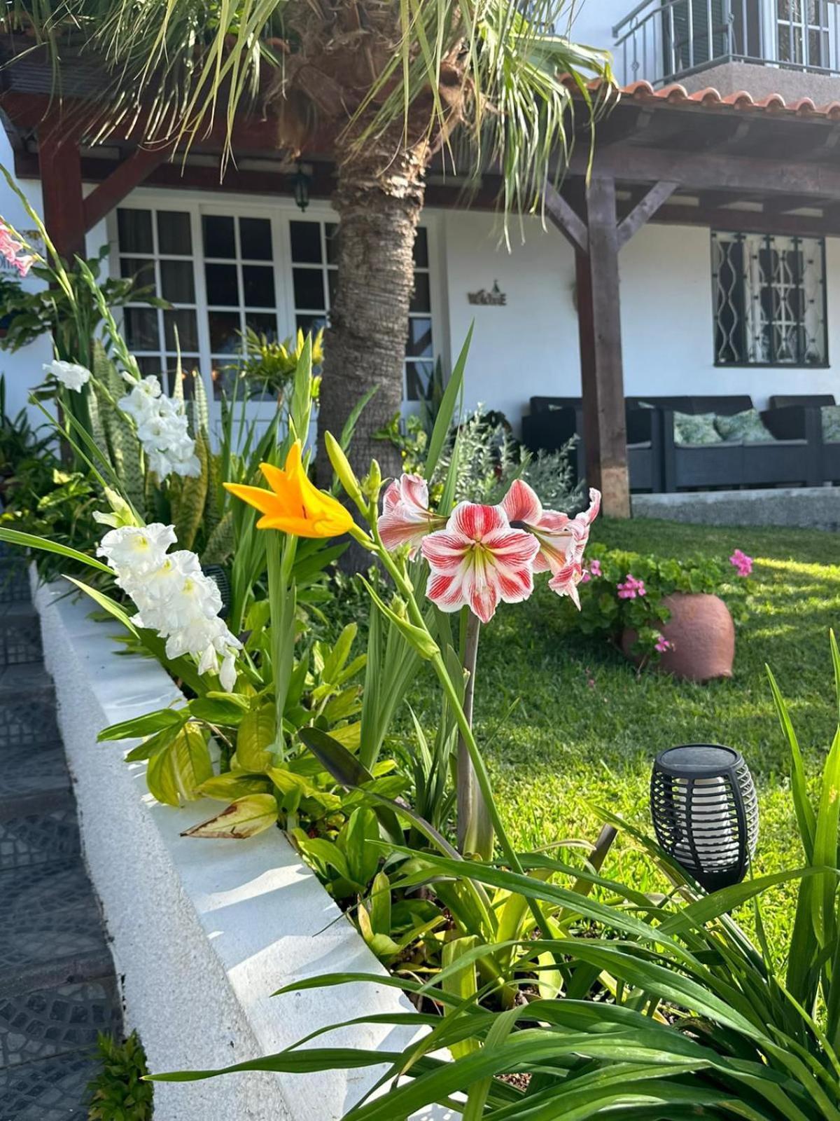 O Meu Sonho Vila Calheta  Exterior foto