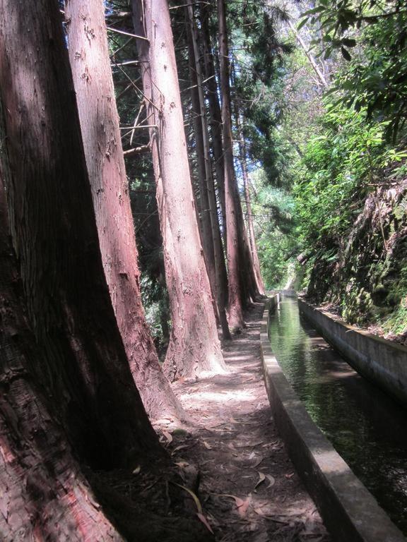 O Meu Sonho Vila Calheta  Exterior foto